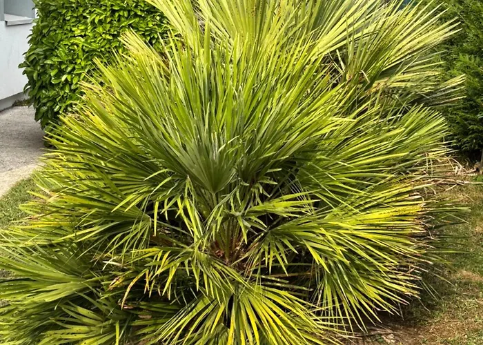 Chez Nous Chez Vous 公寓 *